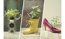 Sprout™ Bleistifte