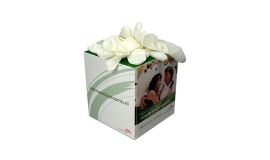 Handschuh-Box, Würfel bedrucken
