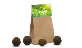 Moods® Samenbomben in Papiertüte (4 Stk)
